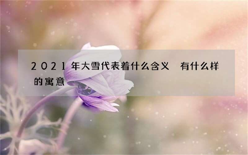 2021年大雪代表着什么含义 有什么样的寓意